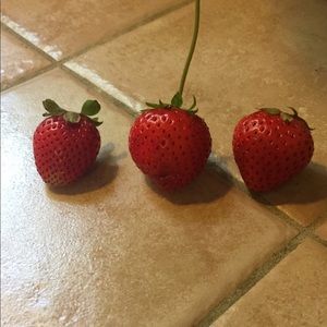 Meet your Posher, Marissa